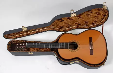 رنگبندی و تعمیرات گیتار آدمیرا rosario